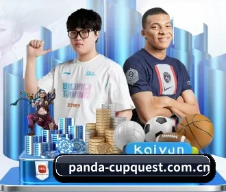 熊猫体育官方网站 APP